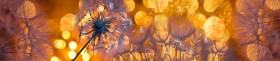 Кухонный фартук Мерцание Одуванчики золотистые 3 серебро в Вологде - vologda.katalogmebeli.com | фото